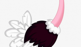 鸵鸟漫画,幽默与智慧的碰撞