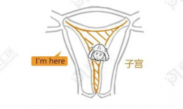 插入子宫漫画,探索生命起源的奇幻旅程