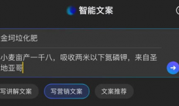短视频翻译,短视频内容精华提炼
